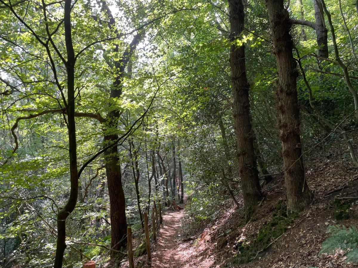 The Forester Σχόορλ Εξωτερικό φωτογραφία