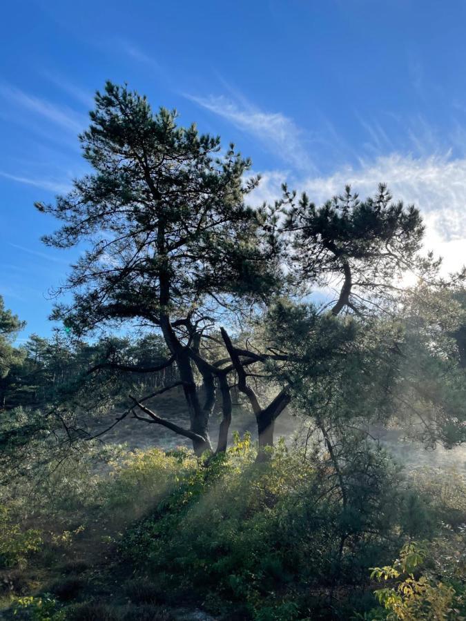 The Forester Σχόορλ Εξωτερικό φωτογραφία